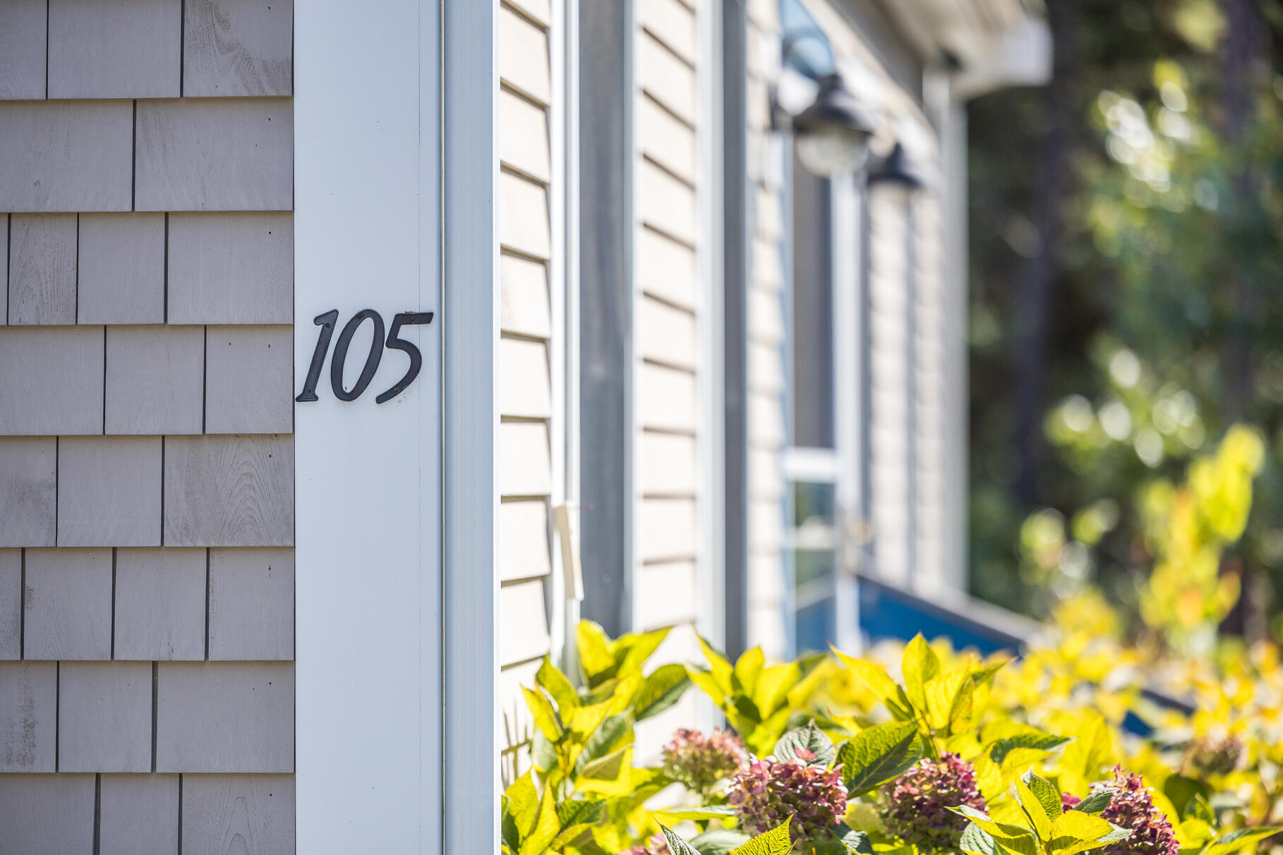 105 High Meadow Road Wellfleet, MA 02667 - Photo 16 of 52 a view of a flowers in a room