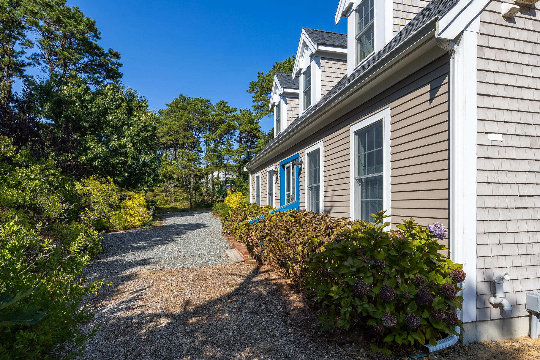 105 High Meadow Road Wellfleet, MA 02667 - Photo 10 of 52 a view of a house with a yard and plants