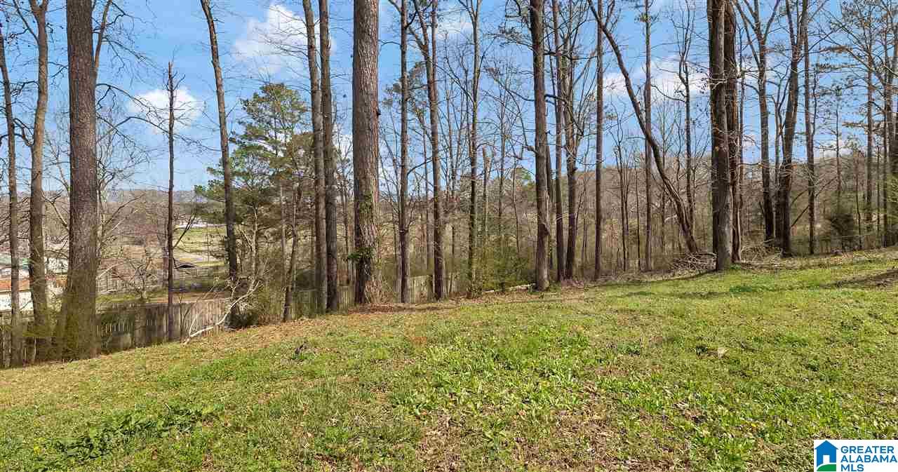 2316 Fitzgerald Road Oxford, AL 36203 - Photo 7 of 36 Gallery Image 7