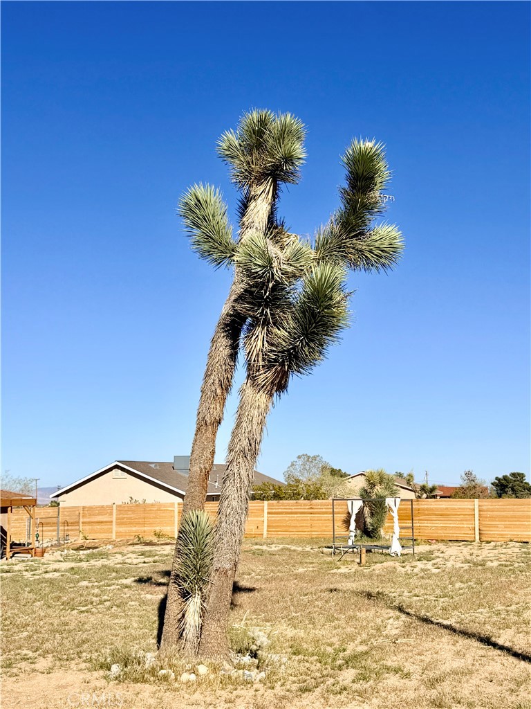 58271 Caliente Street Yucca Valley, CA 92284 - Photo 32 of 38 Joshua Tree