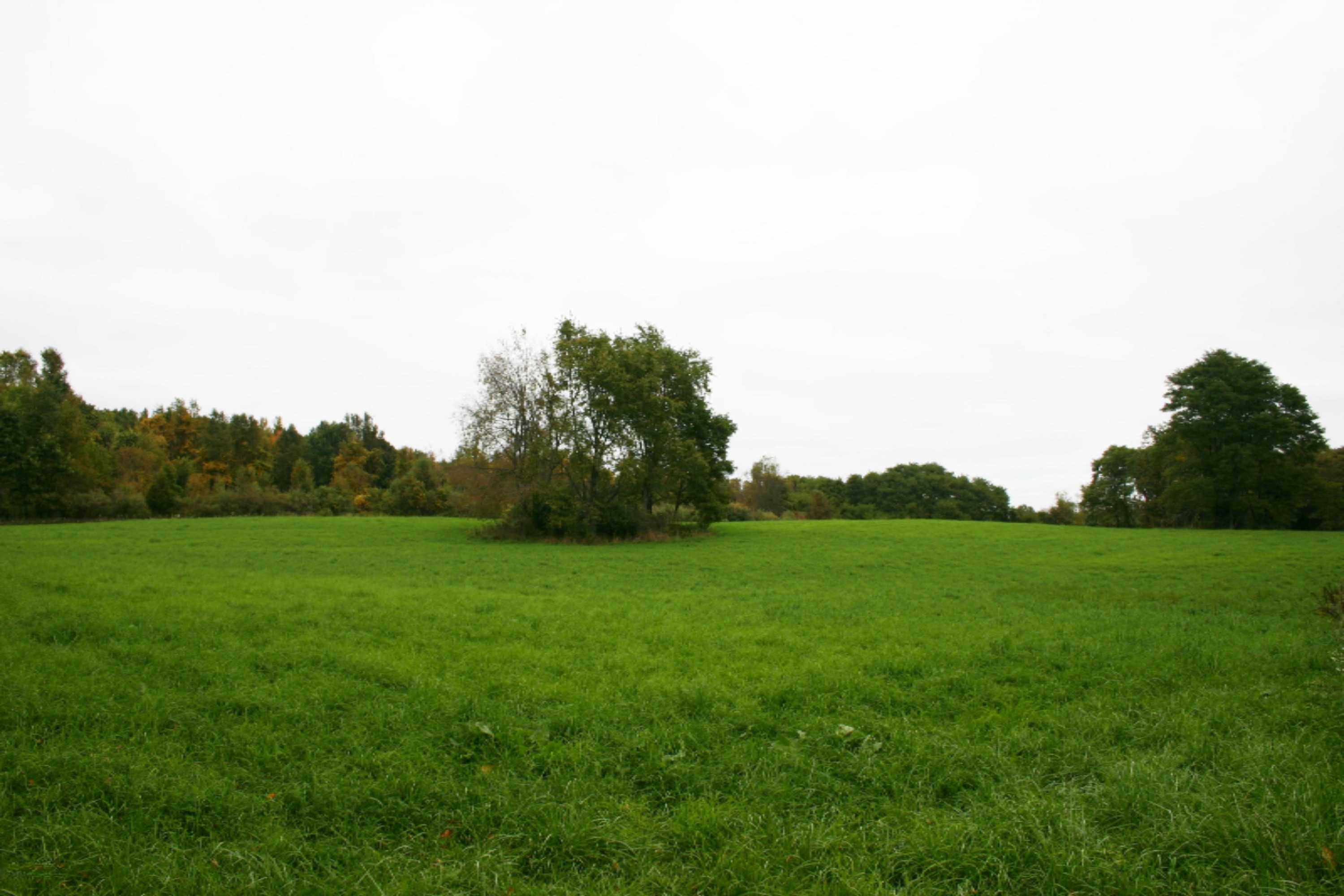 South Enzian Road Plainwell, MI 49080 - Photo 1 of 6 IMG_3679