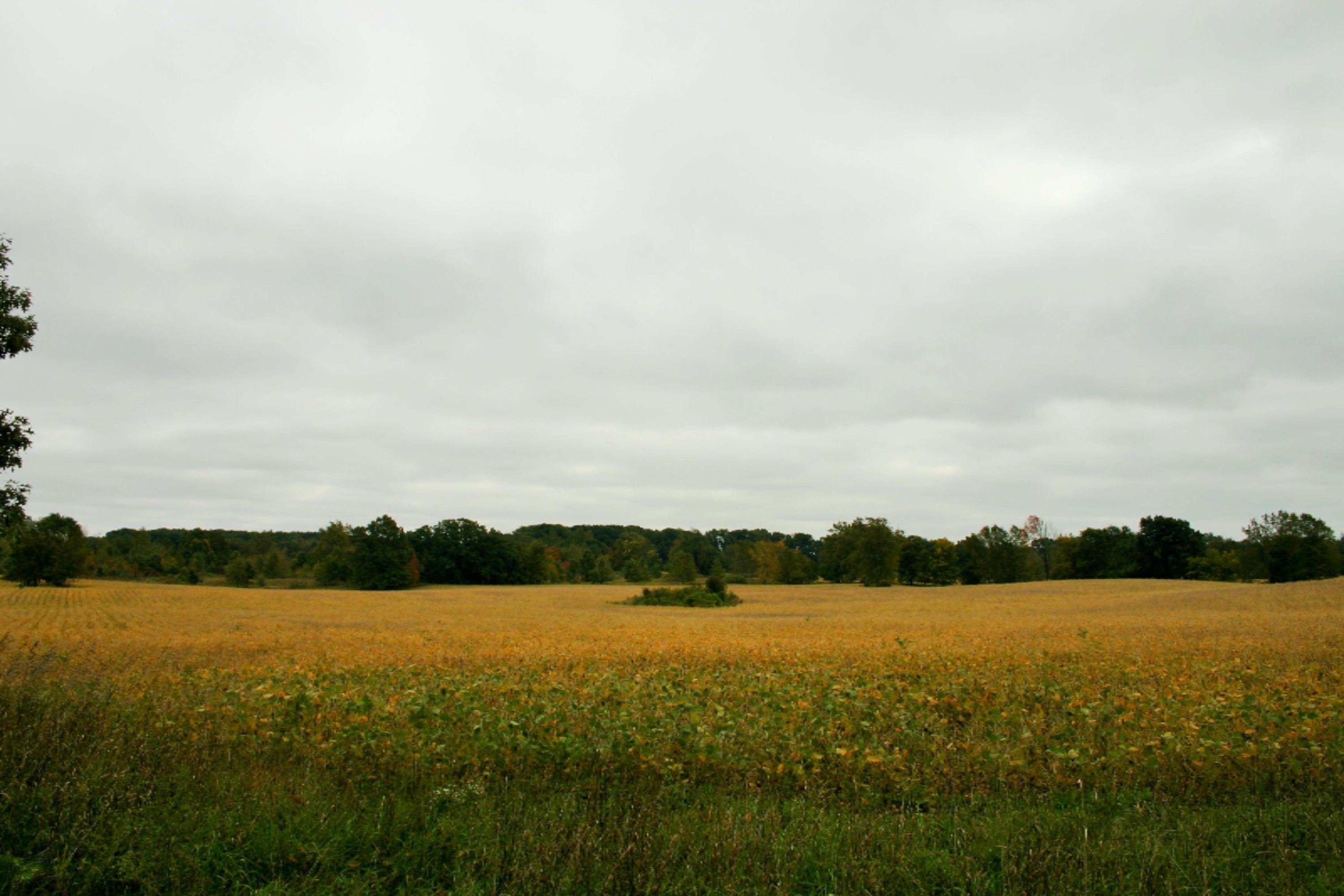 South Enzian Road Plainwell, MI 49080 - Photo 2 of 6 IMG_3678