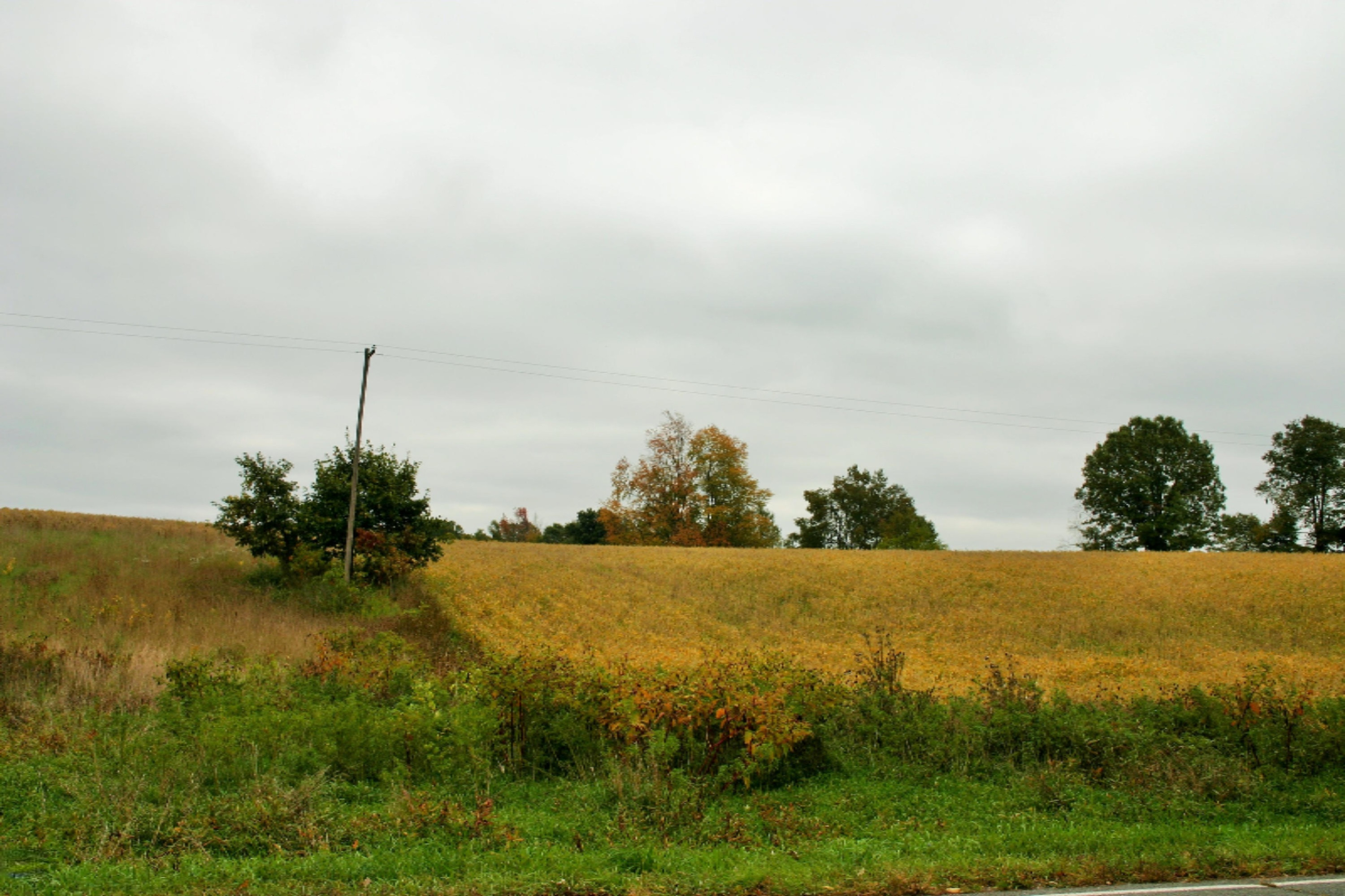South Enzian Road Plainwell, MI 49080 - Photo 3 of 6 IMG_3675