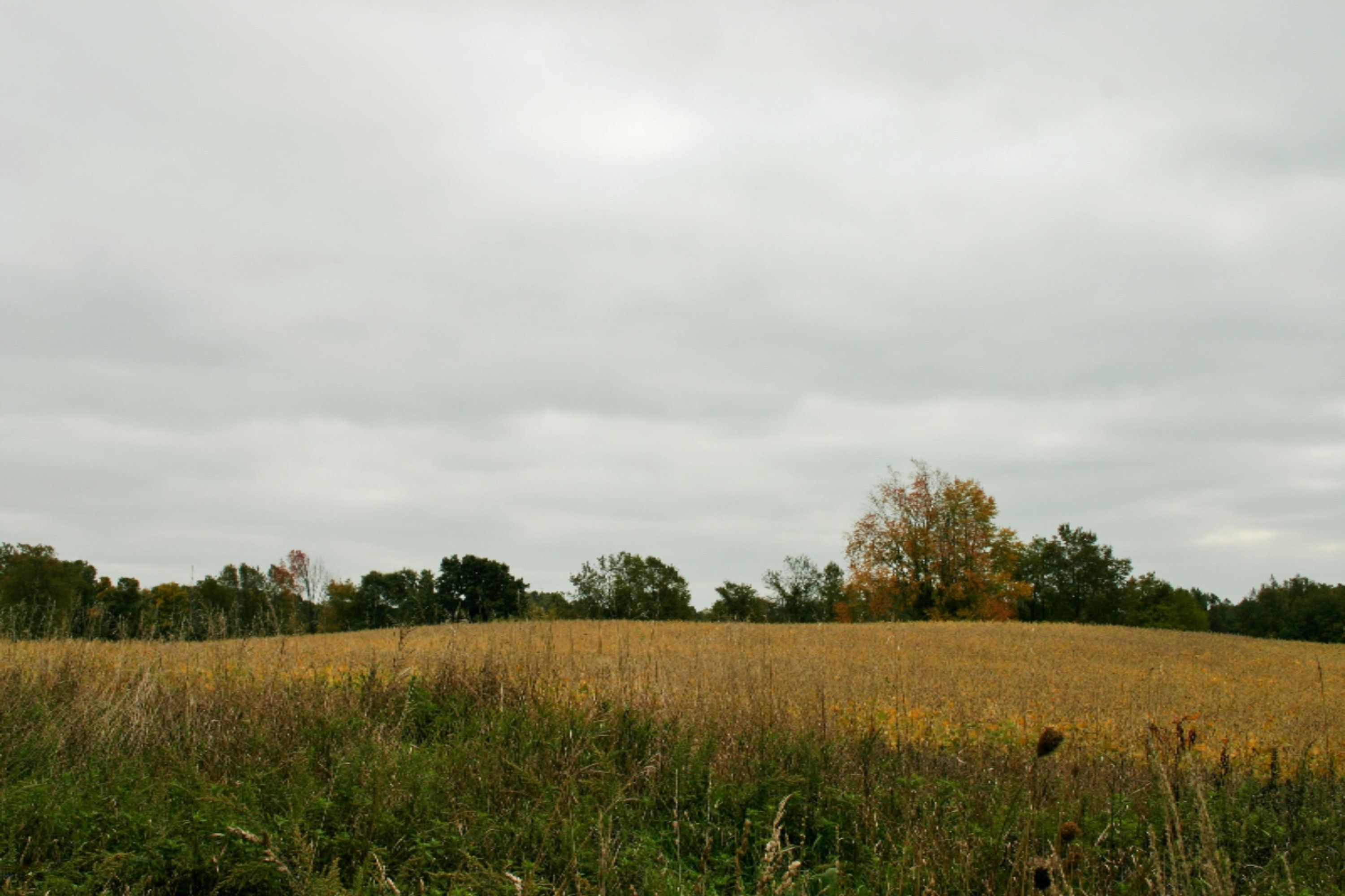 South Enzian Road Plainwell, MI 49080 - Photo 4 of 6 IMG_3677