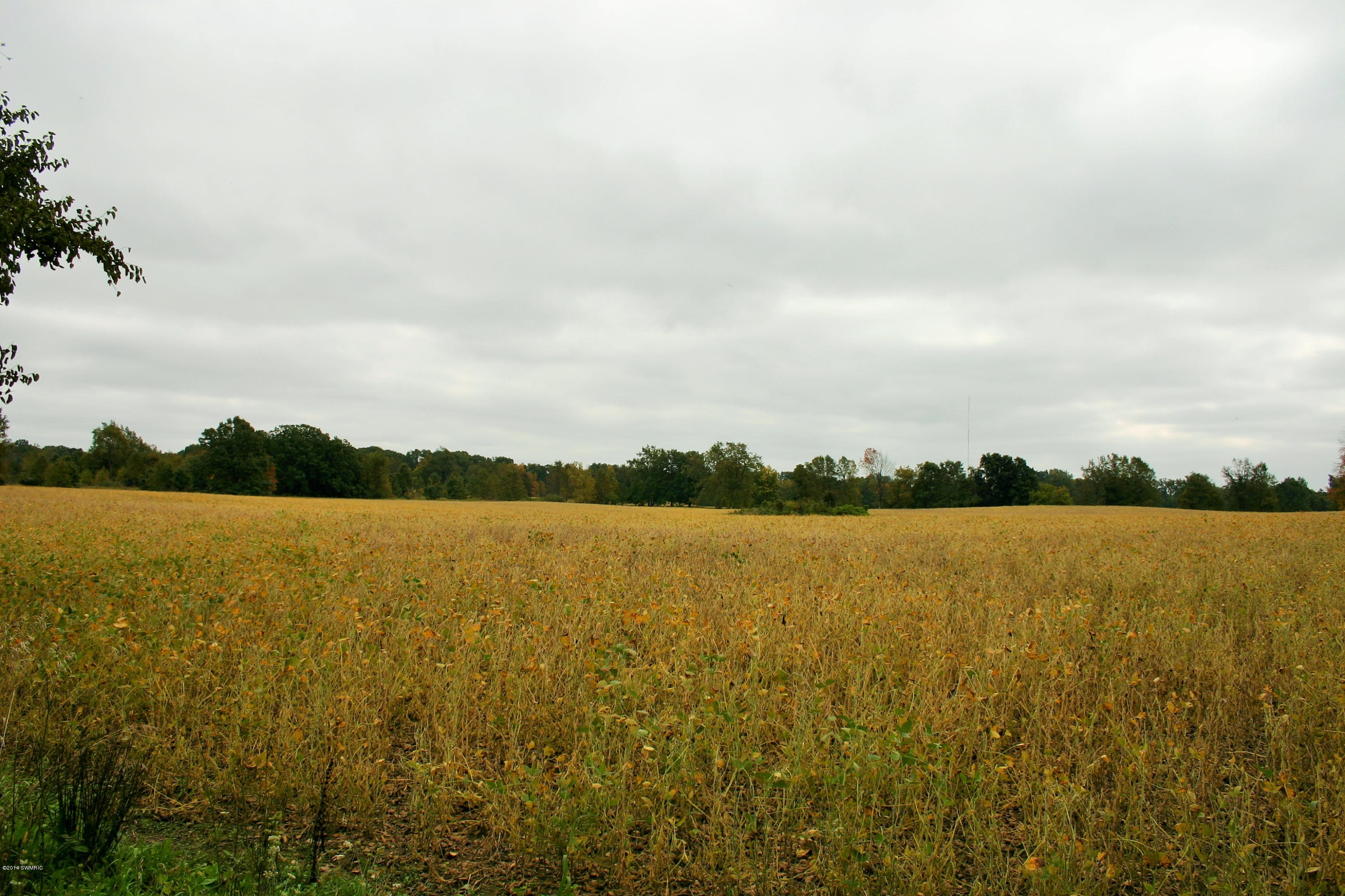 South Enzian Road Plainwell, MI 49080 - Photo 6 of 6 IMG_3682