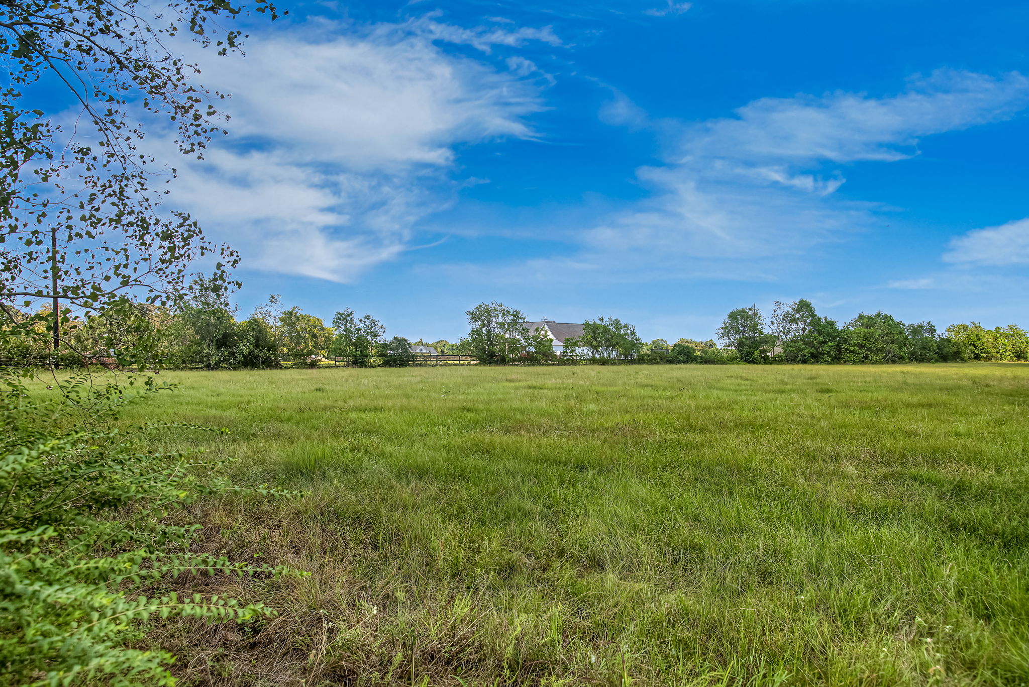 37280 Clapp Road Brookshire, TX 77423 - Photo 5 of 34 An open grassy field stretches toward distant trees under a bright blue sky.