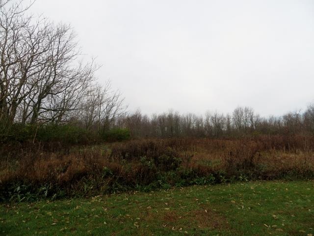 11441 South 200 E Road Muncie, IN 47302 - Photo 28 of 29 Gallery Image 28