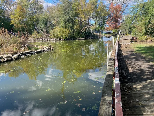 a view of a backyard of the house