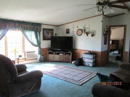 9827 Wade Road Litchfield, MI 49252 - Photo 11 of 23 Additional Photo