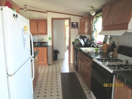 9827 Wade Road Litchfield, MI 49252 - Photo 2 of 23 Additional Photo