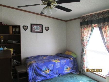 9827 Wade Road Litchfield, MI 49252 - Photo 7 of 23 Additional Photo