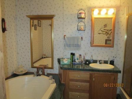 9827 Wade Road Litchfield, MI 49252 - Photo 9 of 23 Additional Photo
