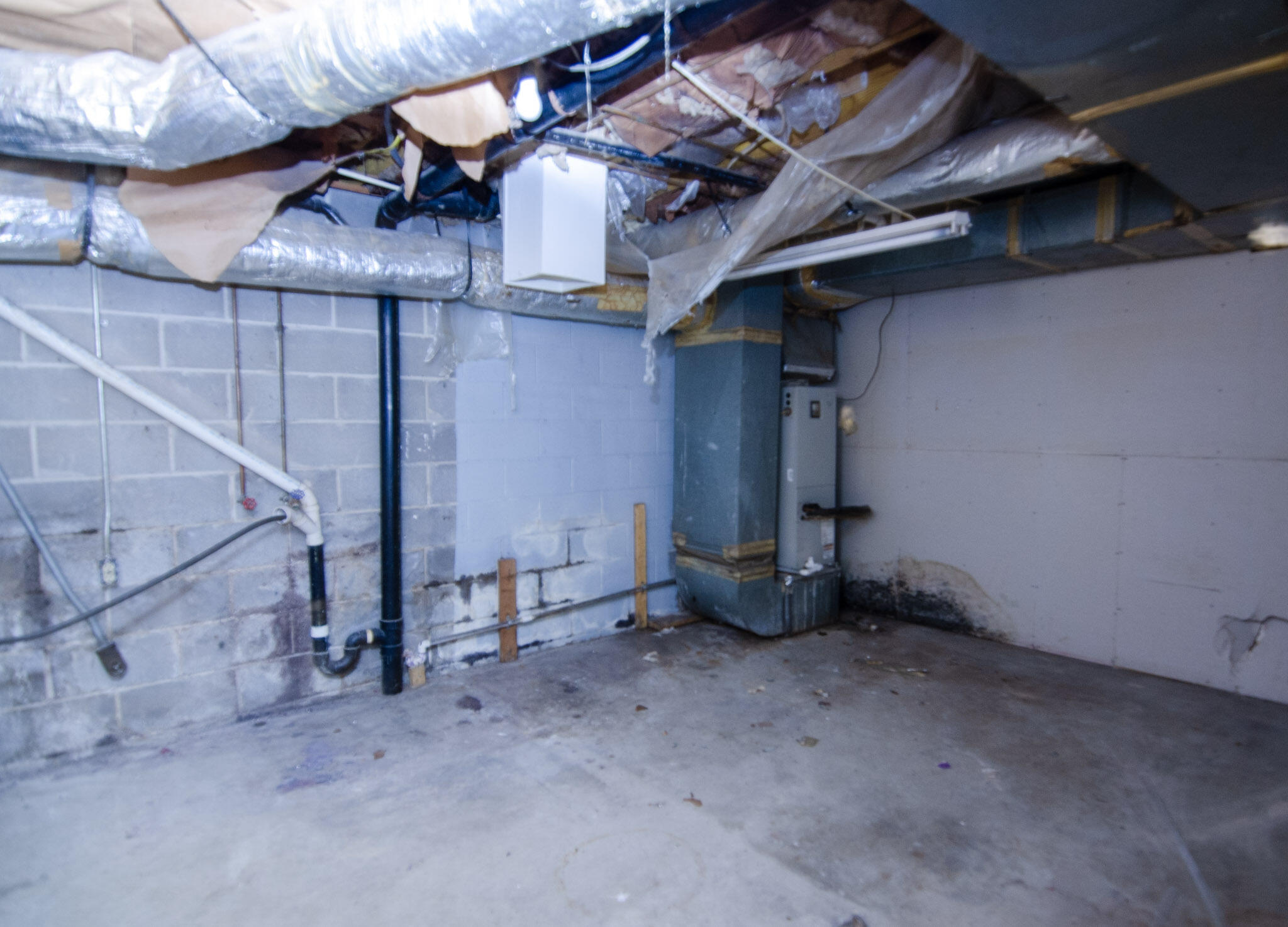 368 Corvin Road Northeast Cleveland, TN 37323 - Photo 16 of 23 corvin basement room