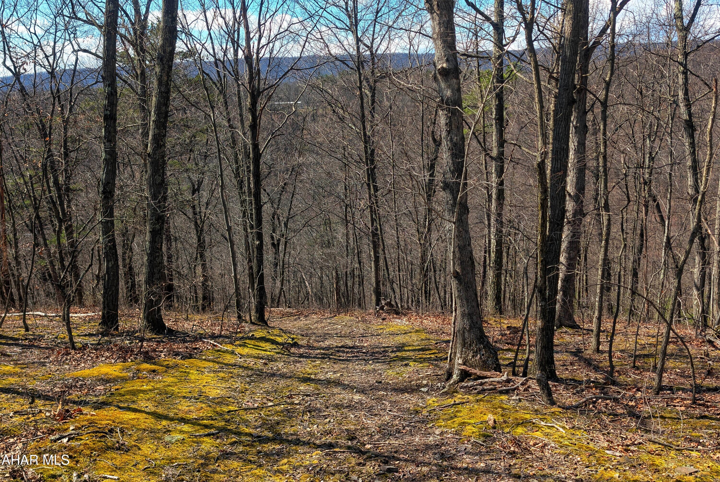 0 Pine Ridge Road Saxton, PA 16678 - Photo 21 of 23