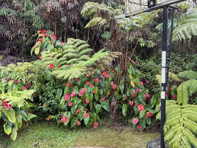 a view of a patio with table and chairs under an umbrella