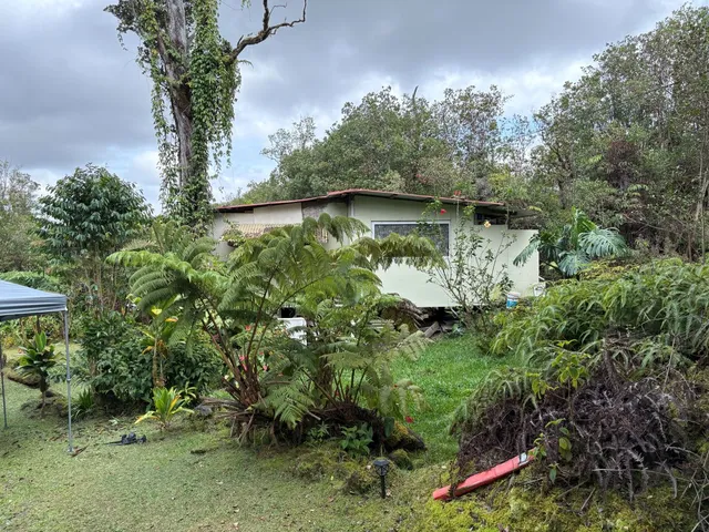 a view of a garden with a tree