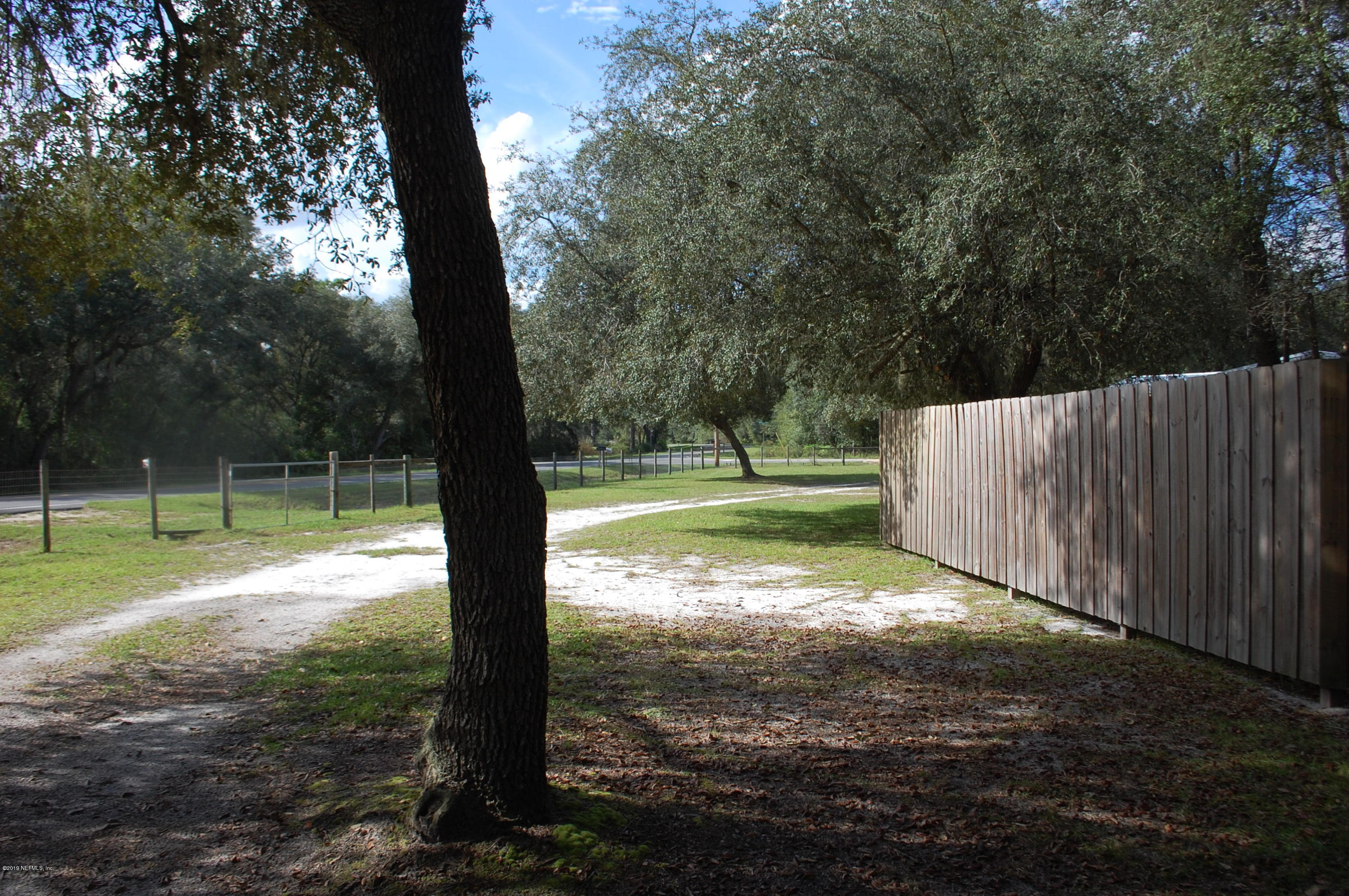 622 Lake Susan Road Hawthorne, FL 32640 - Photo 38 of 50 a view of a yard with a tree