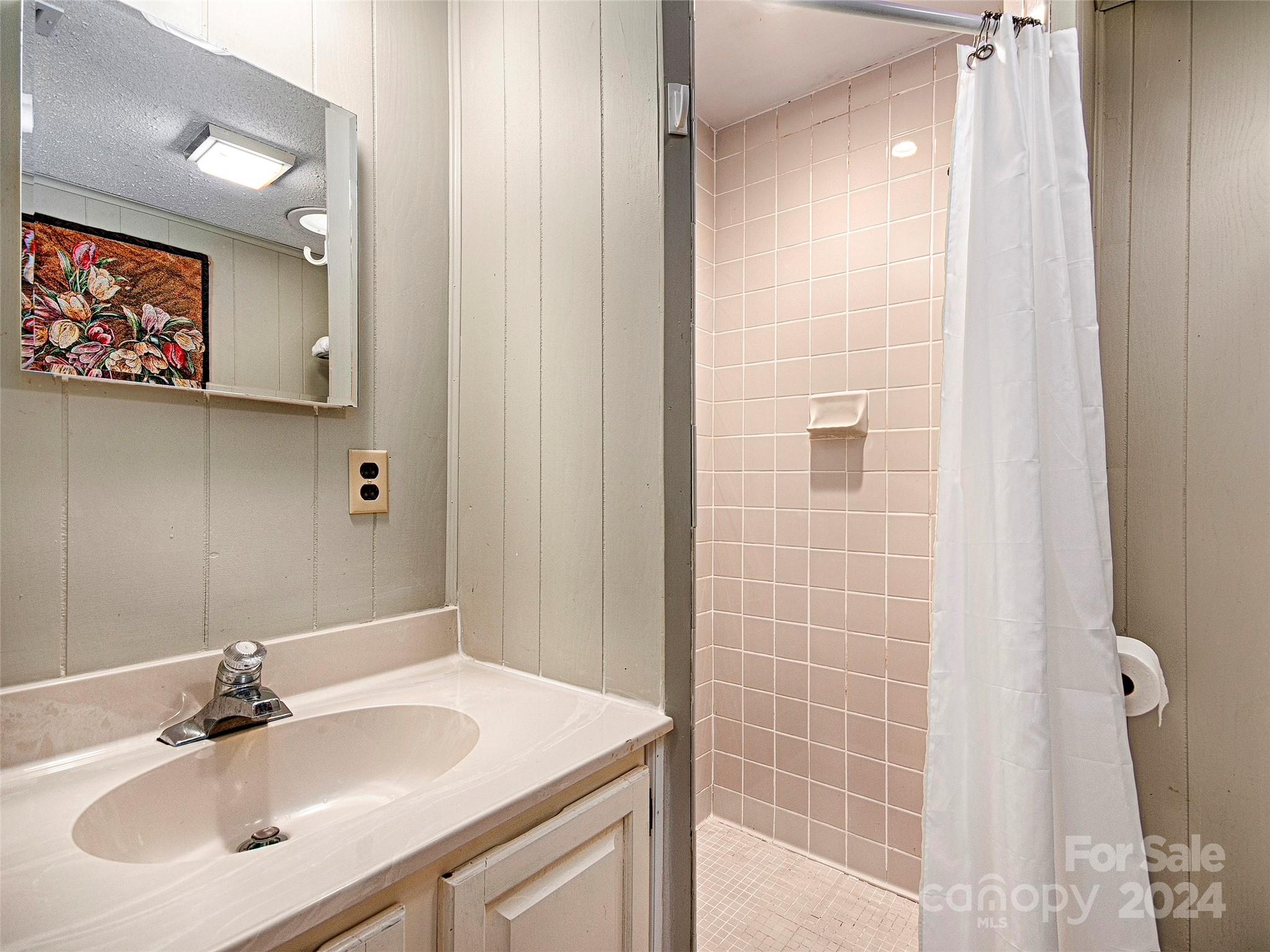 436 Old Fiddle Road Waynesville, NC 28786 - Photo 13 of 18 a bathroom with a sink and a mirror