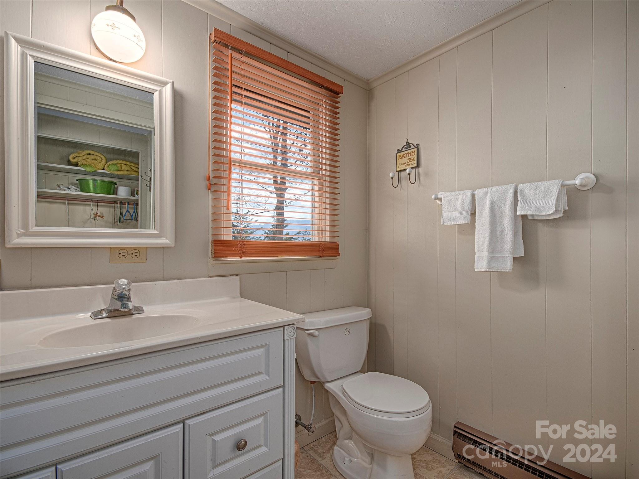 436 Old Fiddle Road Waynesville, NC 28786 - Photo 17 of 18 a bathroom with a sink toilet and a window