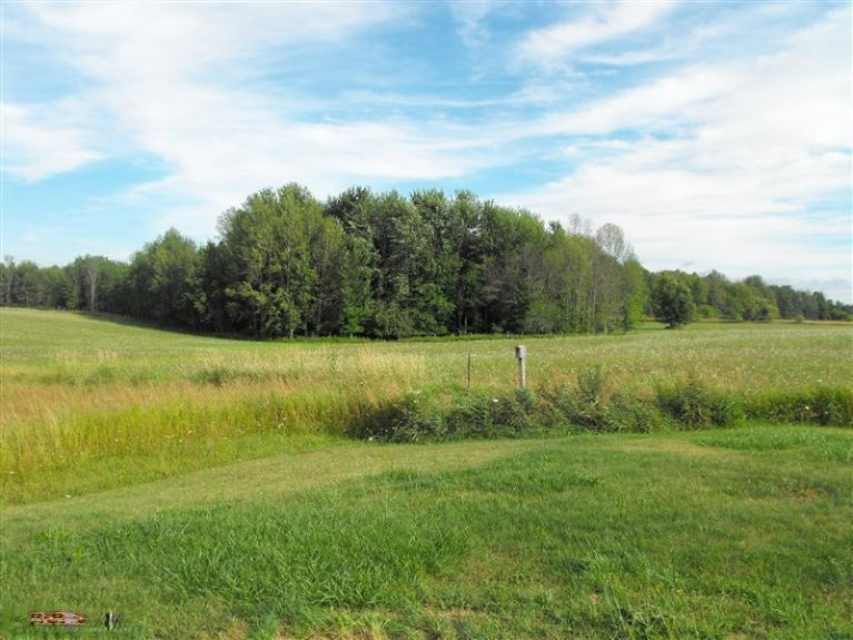 8747 Lyman Road Kaleva, MI 49645 - Photo 12 of 14 Additional Photo
