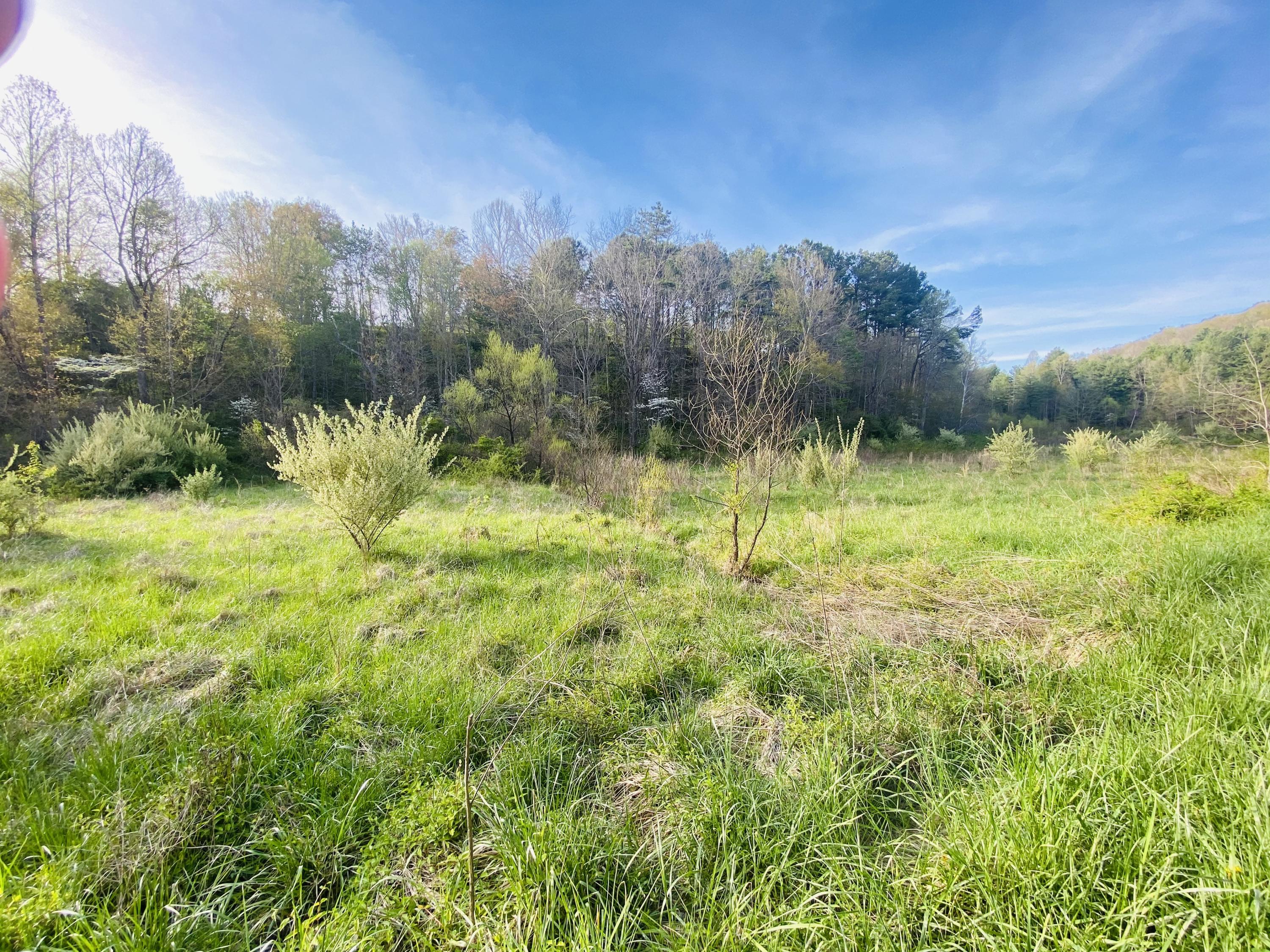 175 Sandlin Cemetery Road Manchester, KY 40962 - Photo 21 of 37 DB041FF5-4053-45CB-B745-717D3A236B34