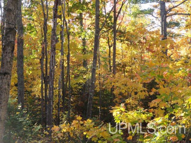Tbd Tbd Off Townline Road Lanse, MI 49946 - Photo 18 of 18