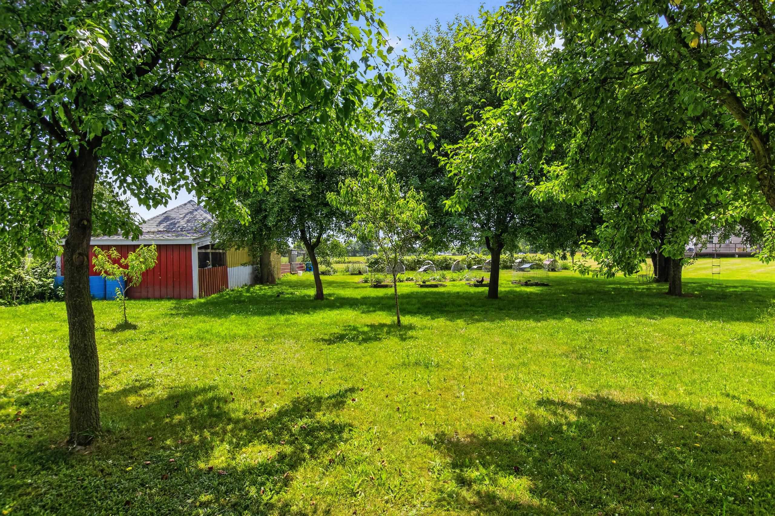 4395 South Grove Road St. Johns, MI 48879 - Photo 78 of 84