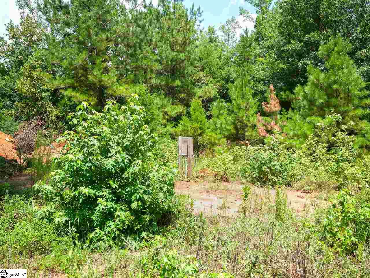 380 Country Estates Road Fountain Inn, SC 29644 - Photo 3 of 36