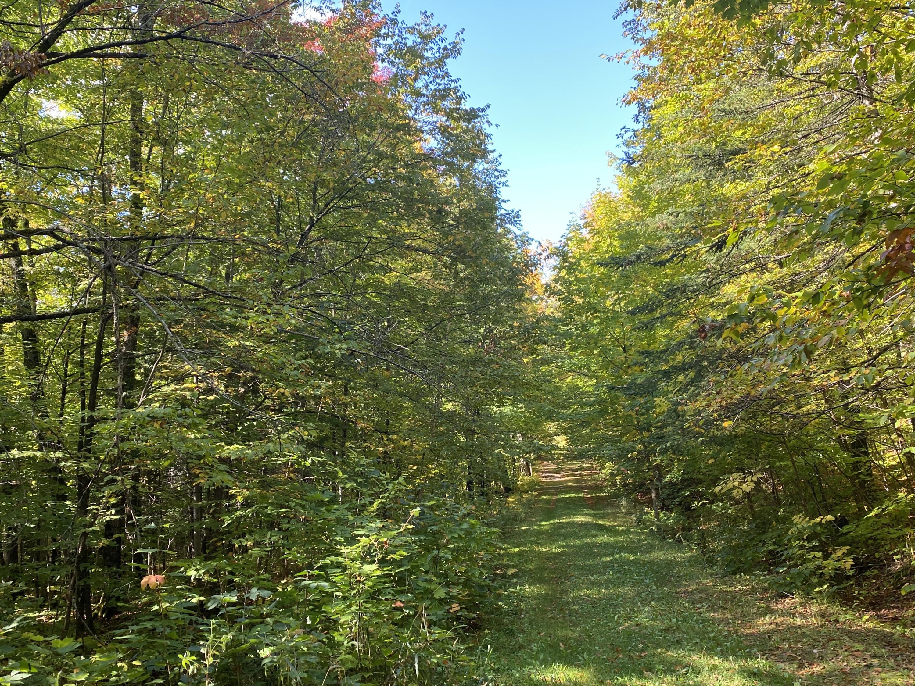 6 Sugartree Road St. David, ME 04773 - Photo 15 of 18 IMG_7282