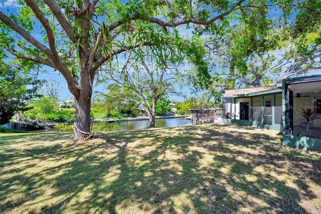 a view of a yard with plants and large trees