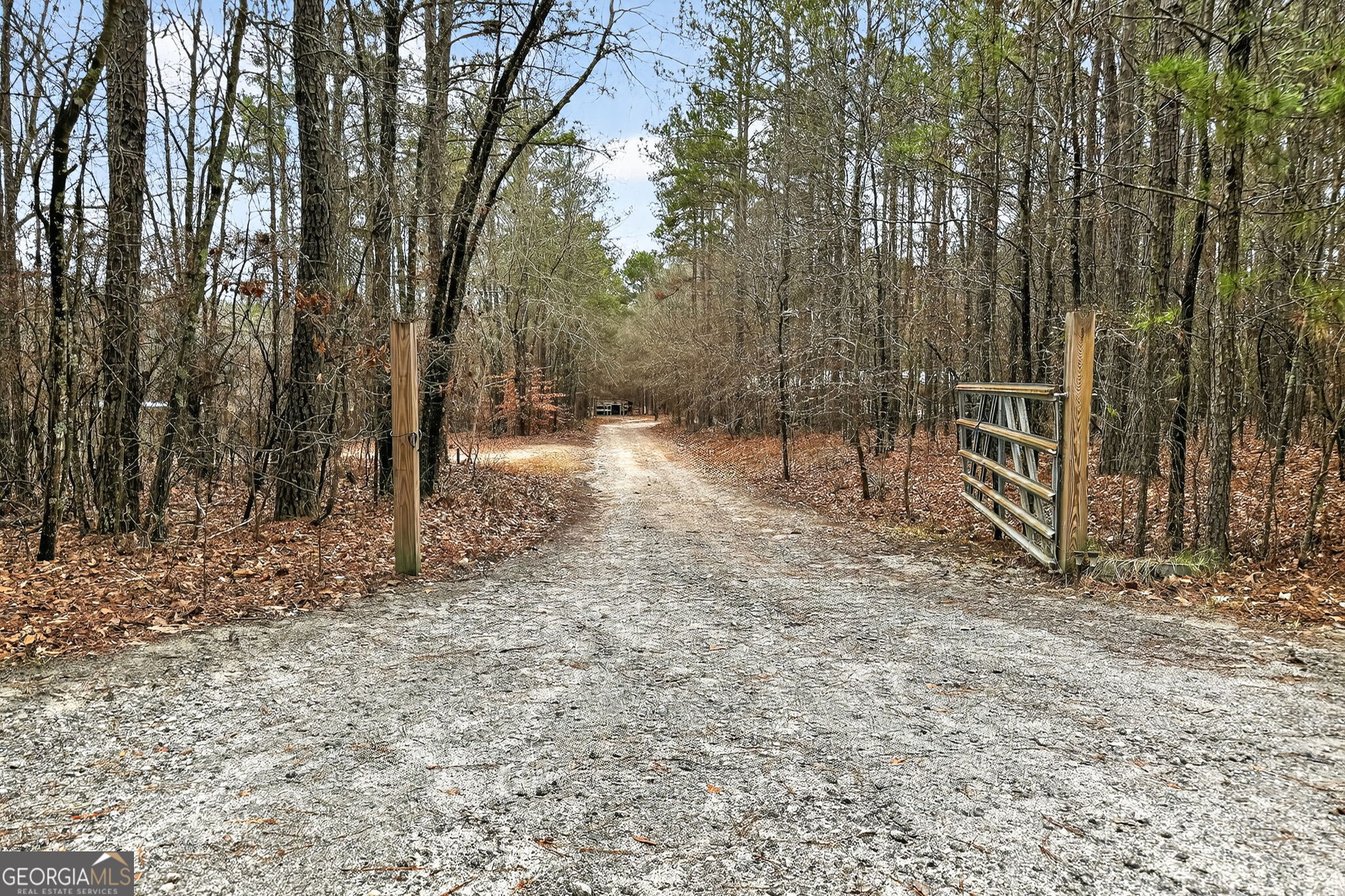 459 Hay Road Meansville, GA 30256 - Photo 31 of 36 a view of a forest with trees in the background