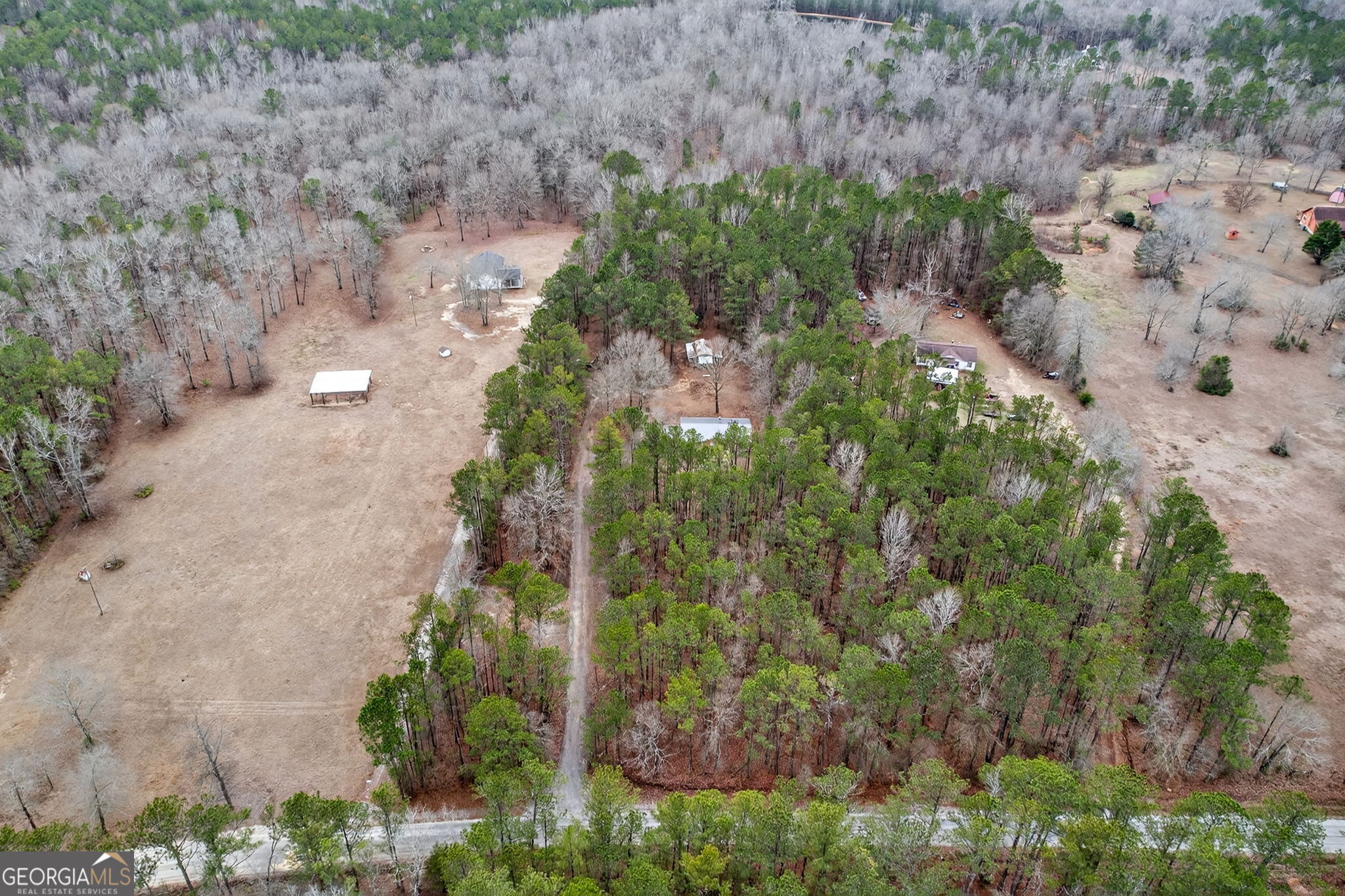 459 Hay Road Meansville, GA 30256 - Photo 33 of 36 a view of a yard with plants and large trees