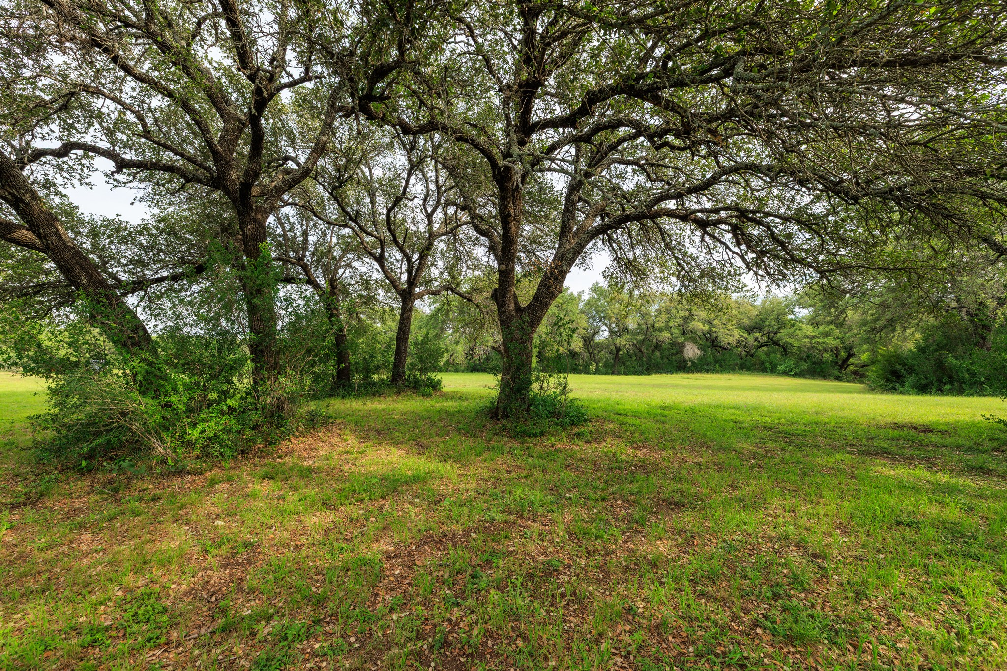 3724 Ranch Road 3347 Round Mountain, TX 78663 - Photo 36 of 40 a view of field with trees in the background
