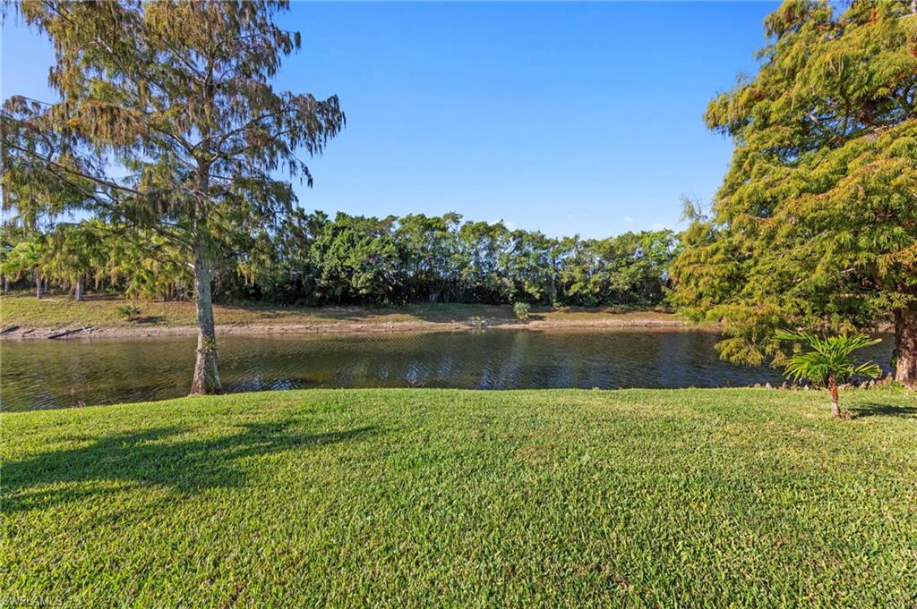 21636 Windham Run Estero, FL 33928 - Photo 39 of 50