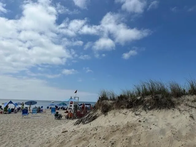 a house view with swimming pool