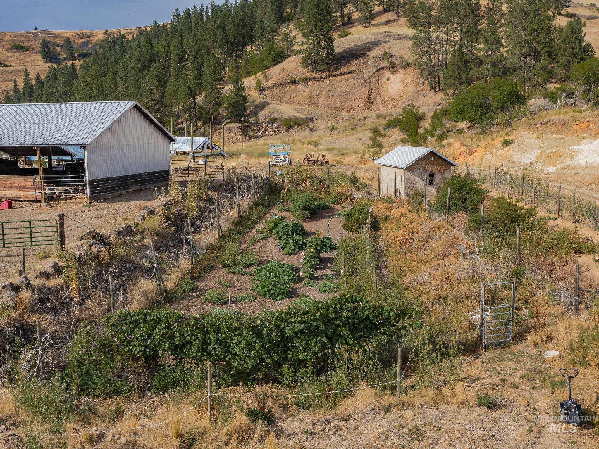 3608 Highway 13 Stites, ID 83552 - Photo 13 of 44