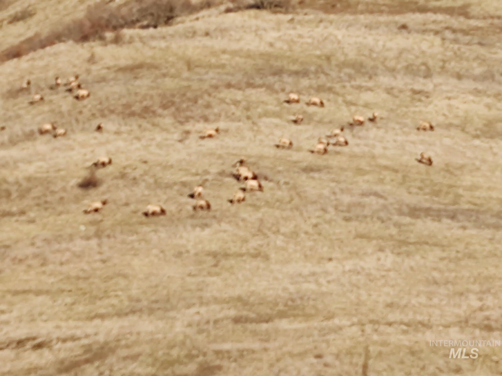 3608 Highway 13 Stites, ID 83552 - Photo 40 of 44 Exterior view