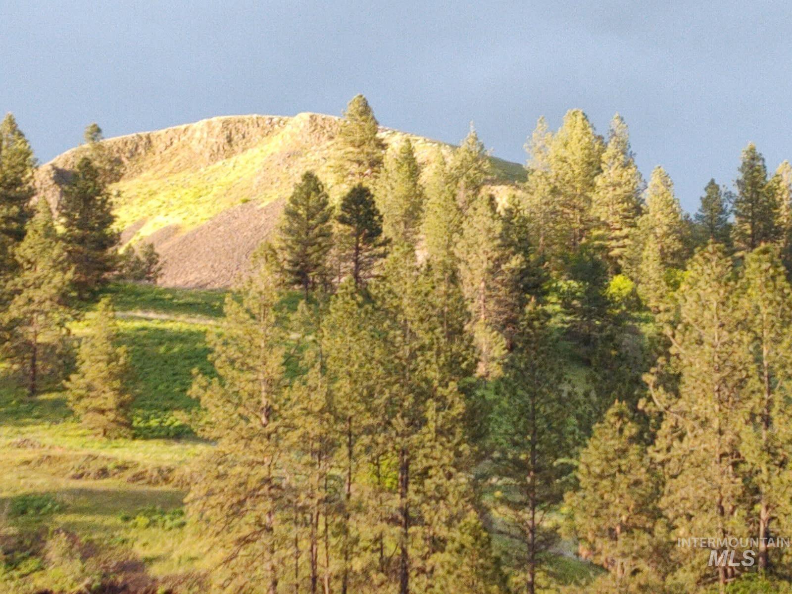 3608 Highway 13 Stites, ID 83552 - Photo 41 of 44 Mountain view