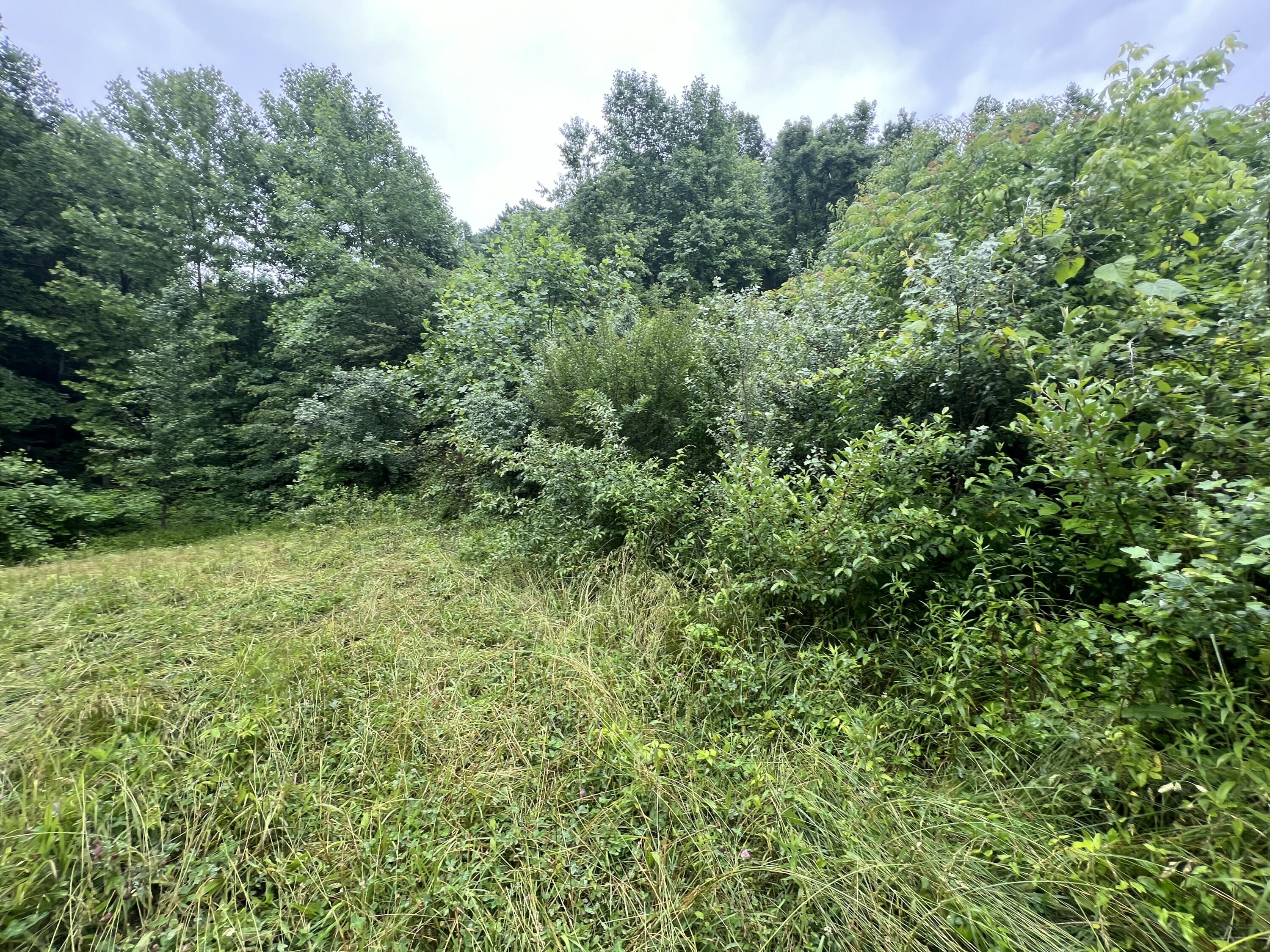 551 Lost Fork Road Manchester, KY 40962 - Photo 4 of 5 IMG_3260