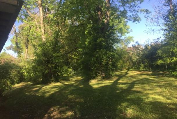 5017 McIntyre Road Knoxville, TN 37914 - Photo 3 of 8 Backyard
