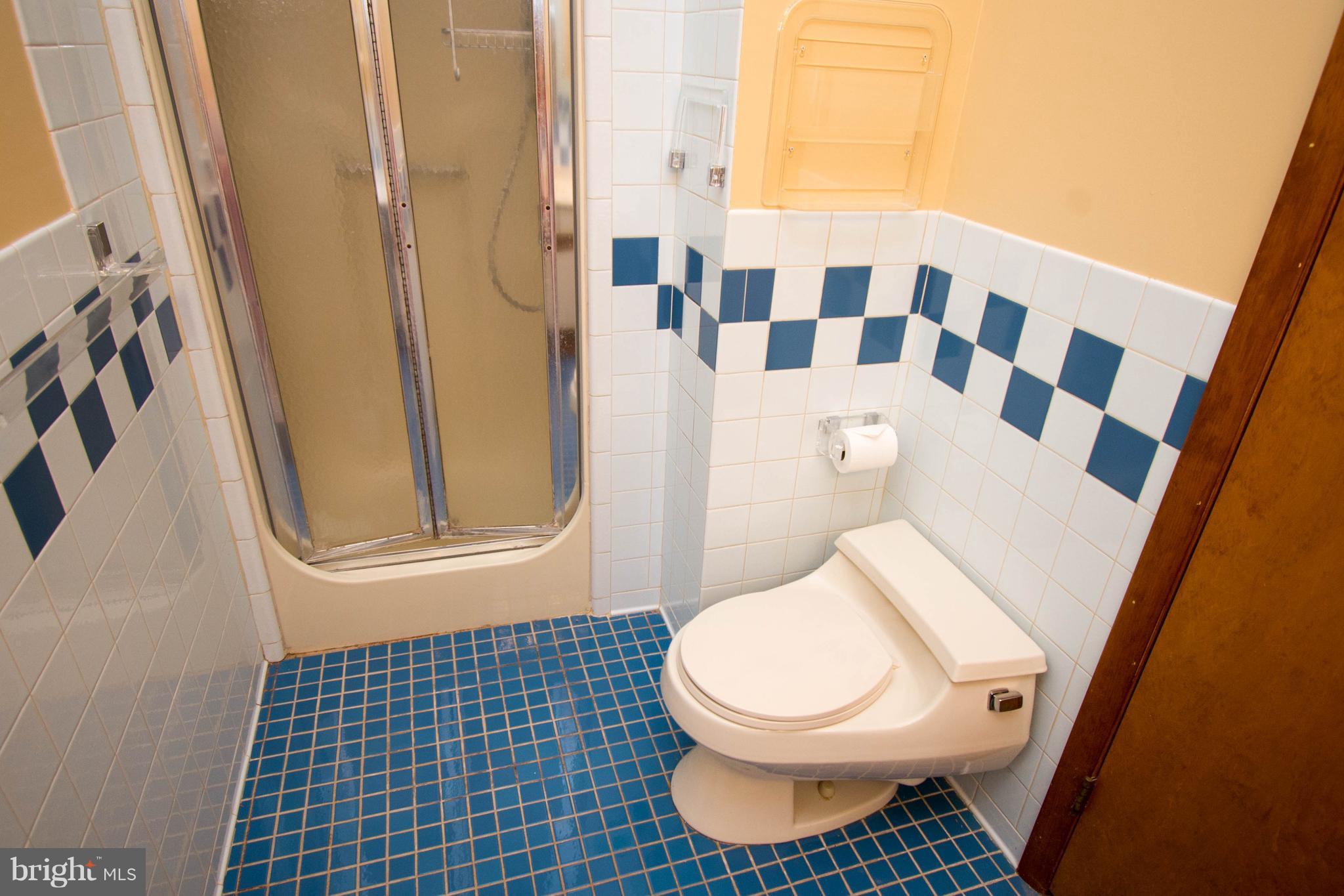 1890 Long Corner Road Mount Airy, MD 21771 - Photo 22 of 31 Bath (Master)
