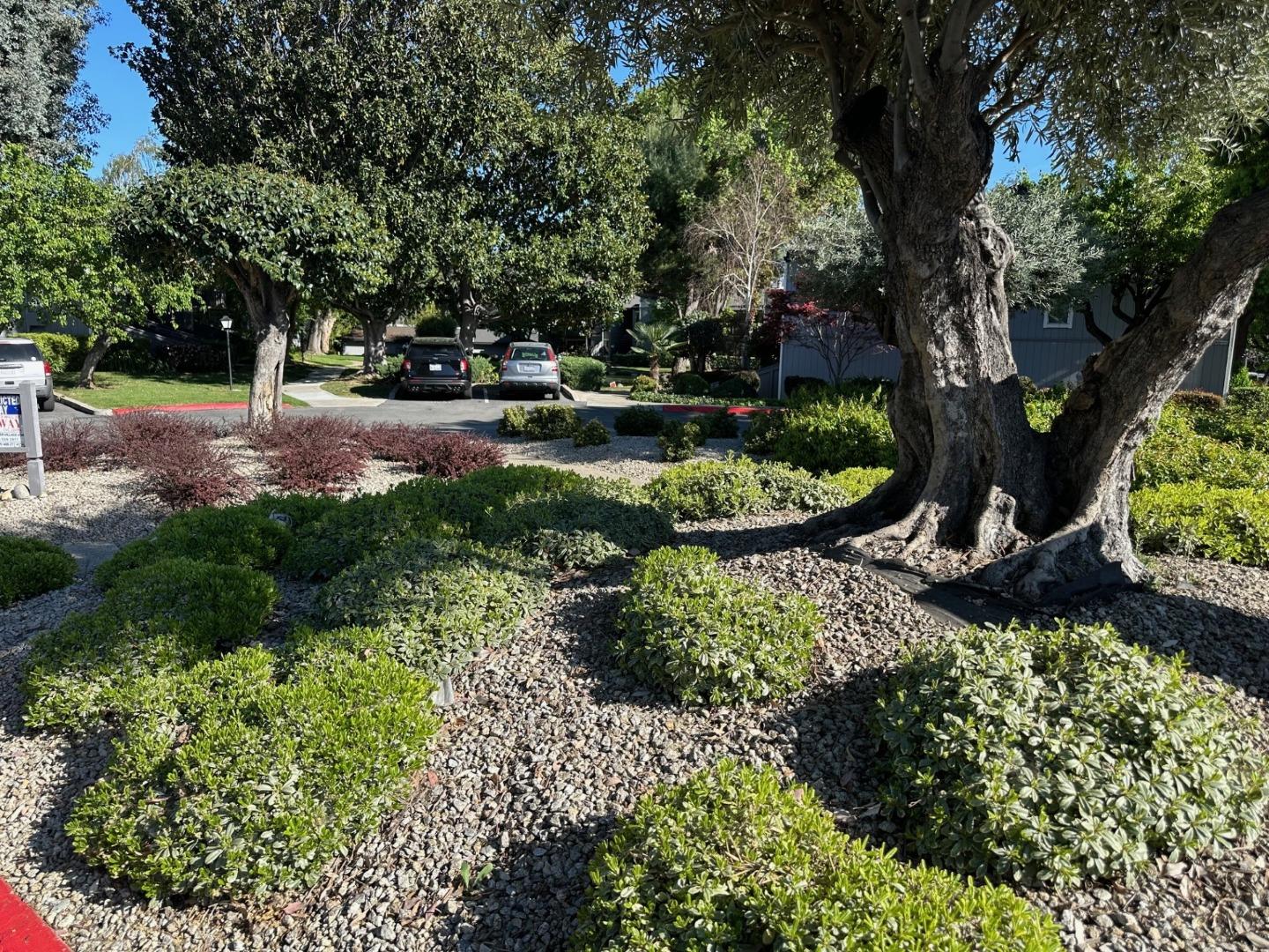 2212 Almaden Road, Unit A San Jose, CA 95125 - Photo 13 of 15 a view of park with plants and trees