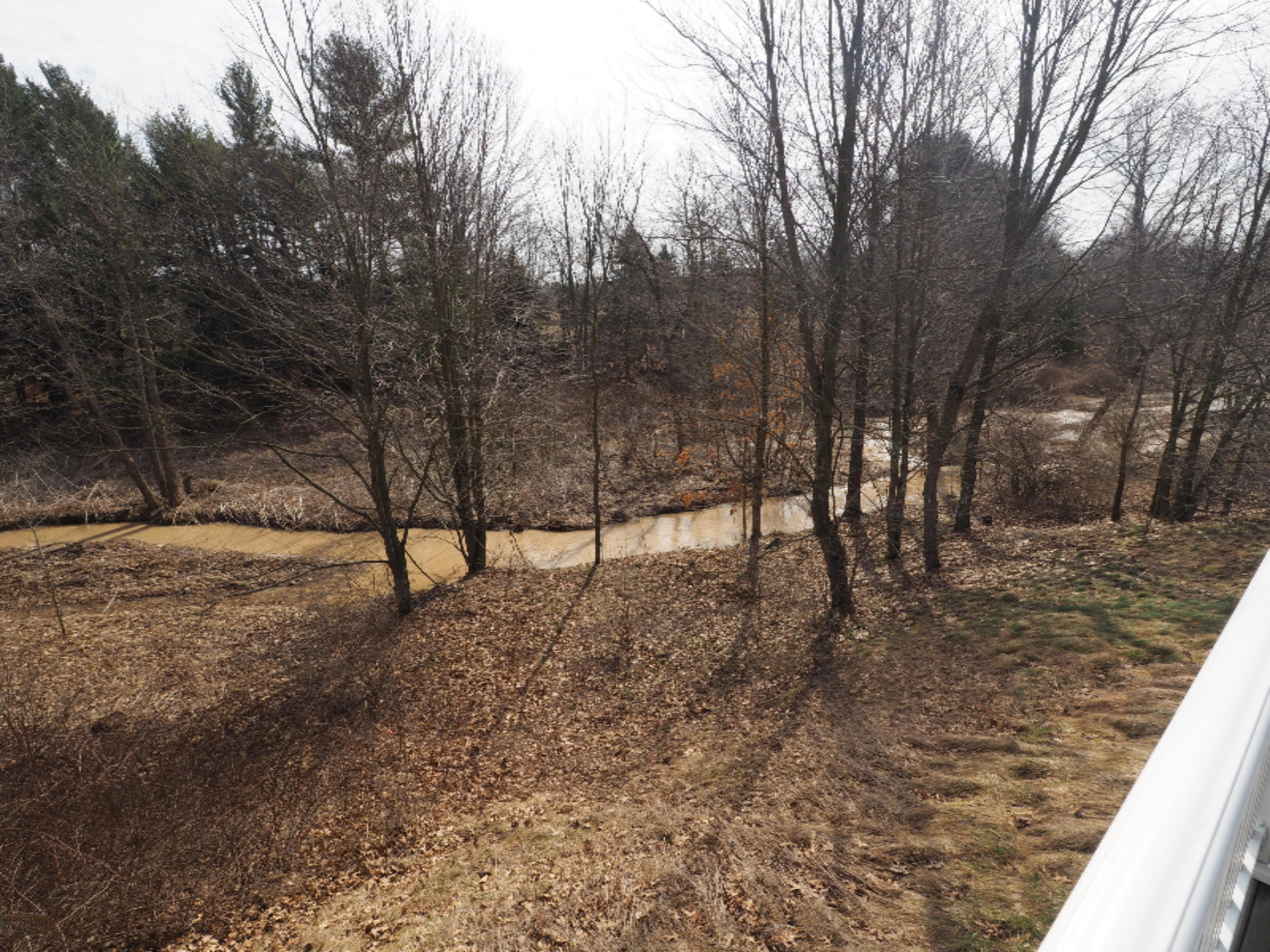 8782 Chase Road Montague, MI 49437 - Photo 38 of 40 P1010068