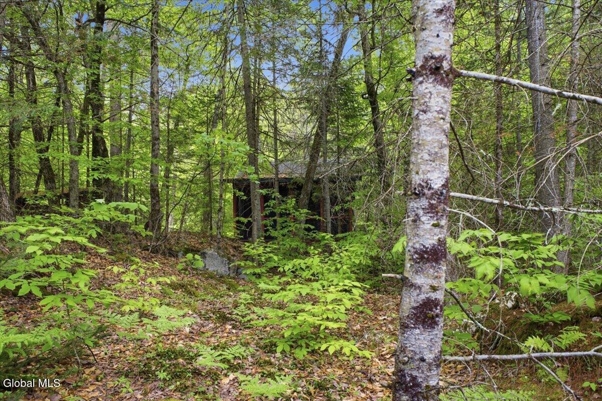 882 Padanarum Road Bolton, NY 12814 - Photo 84 of 87 34