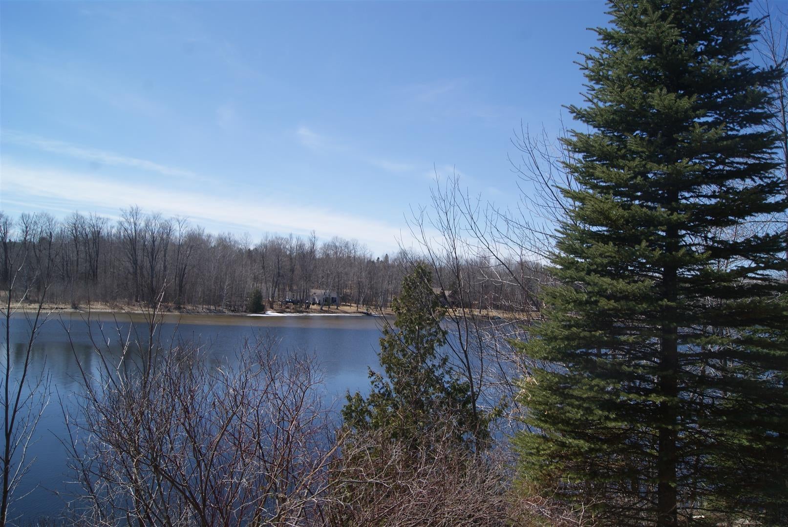 6605 North Black River Road Cheboygan, MI 49721 - Photo 4 of 16 Gallery Image 4