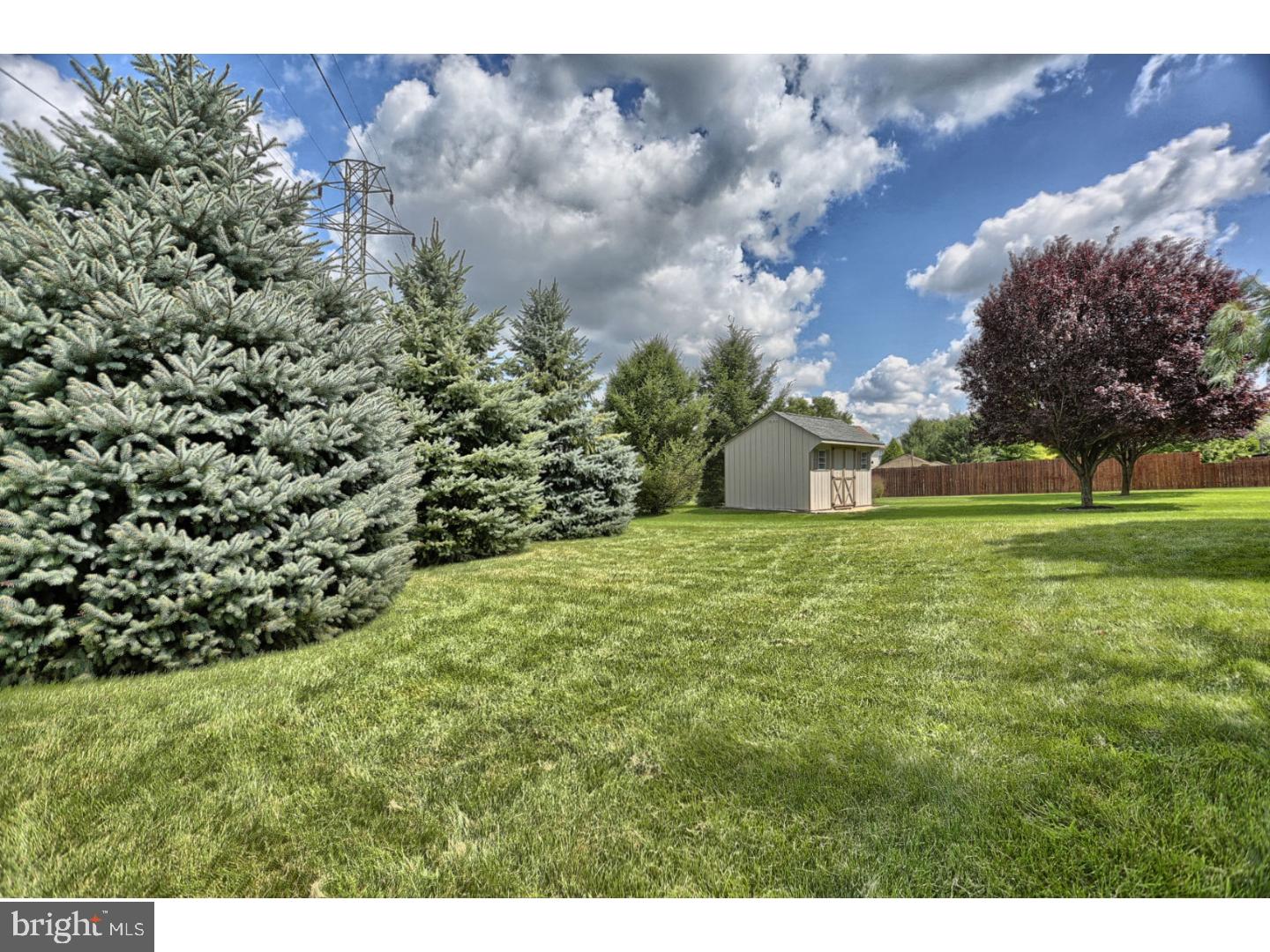 25 Michigan Drive Sinking Spring, PA 19608 - Photo 23 of 25 Back Yard