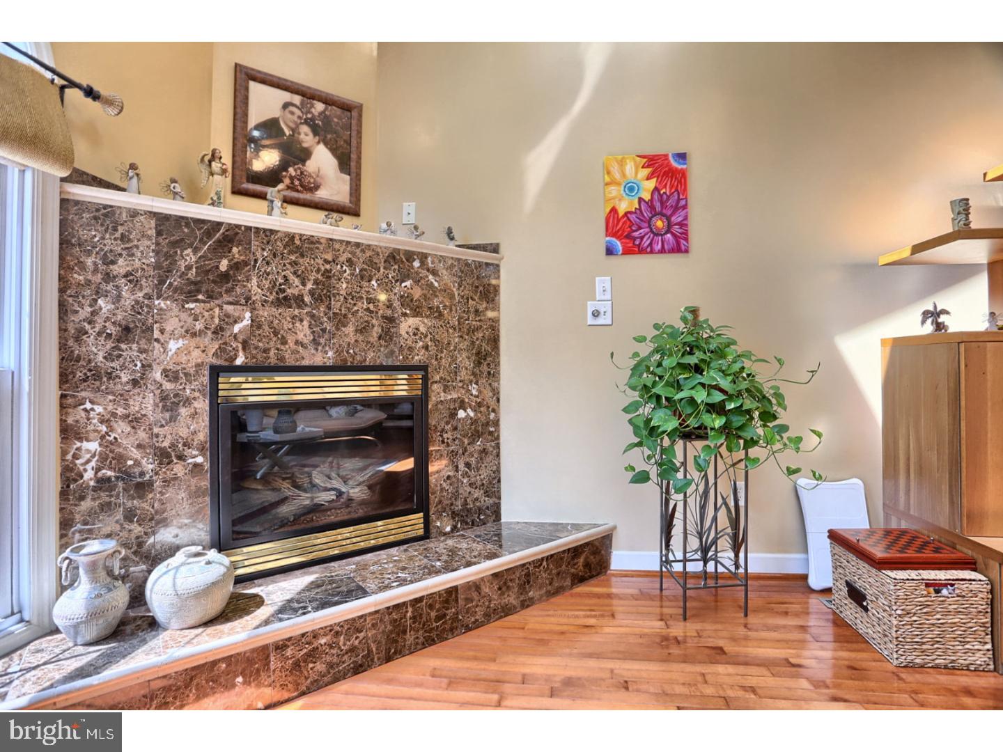 25 Michigan Drive Sinking Spring, PA 19608 - Photo 6 of 25 Fireplace