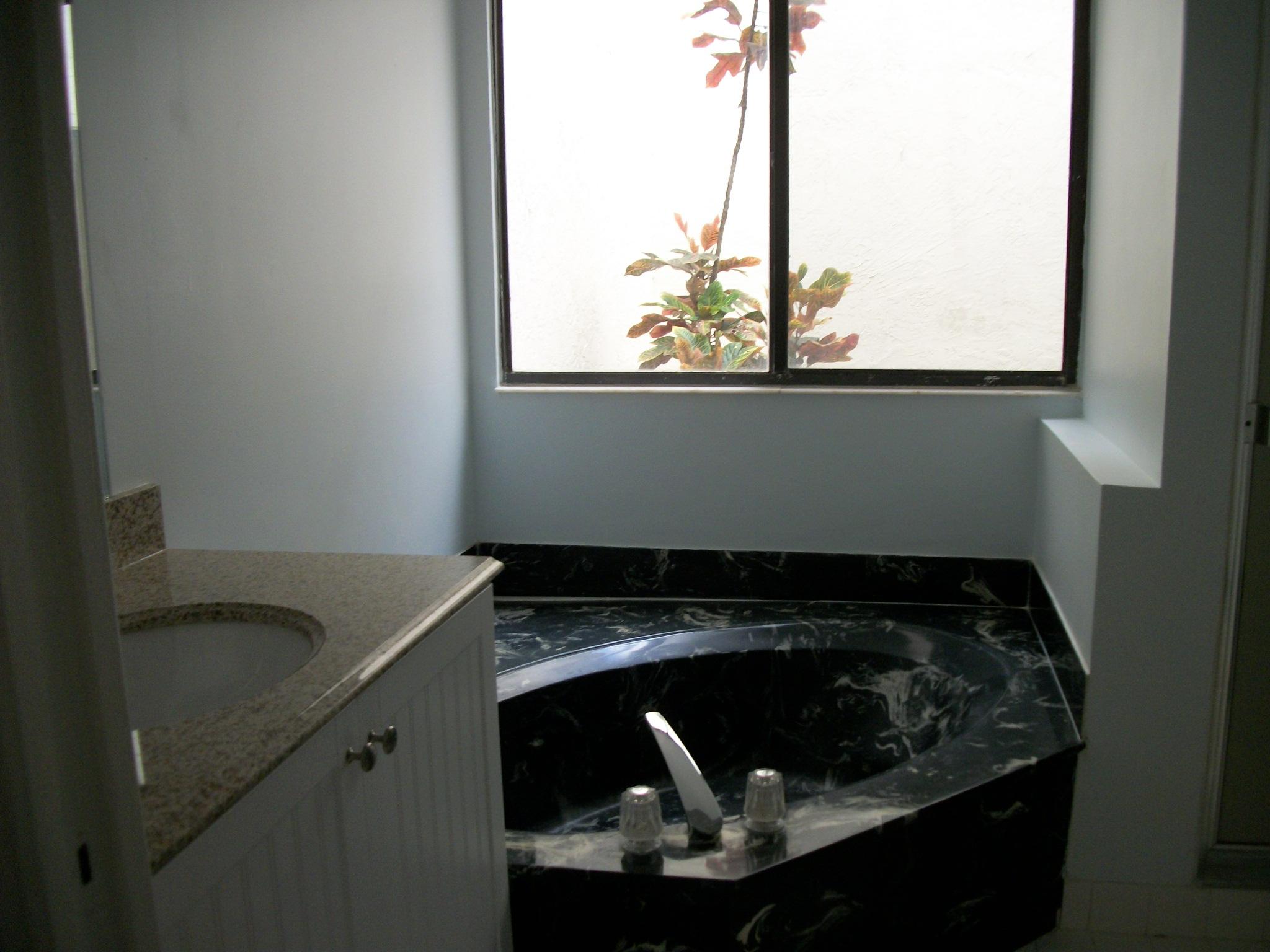 7615 Solimar Circle Boca Raton, FL 33433 - Photo 20 of 32 Master bathtub overlooking atrium