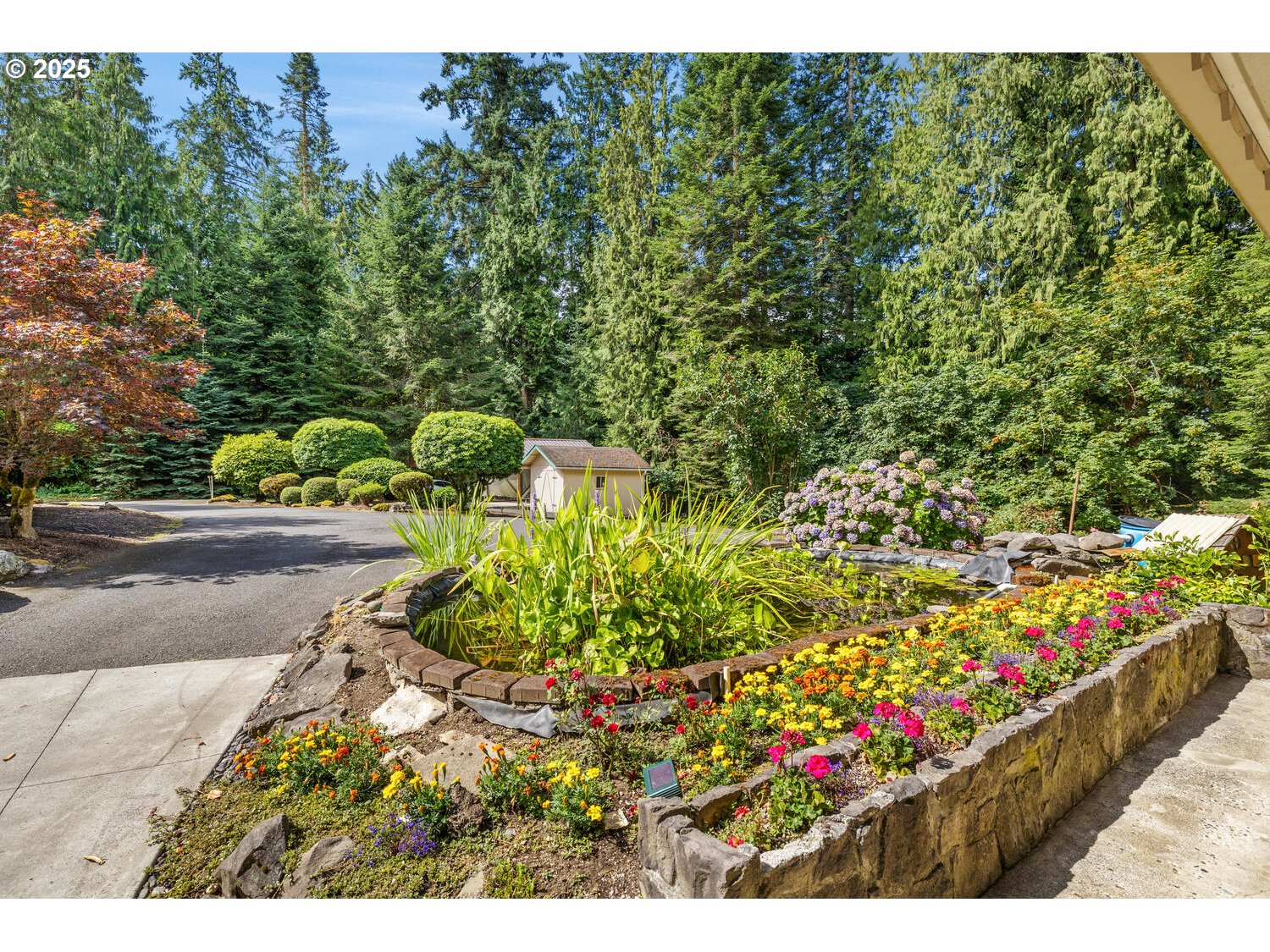 3208 Northwest 199th Street Ridgefield, WA 98642 - Photo 11 of 48 a view of a garden with flowers