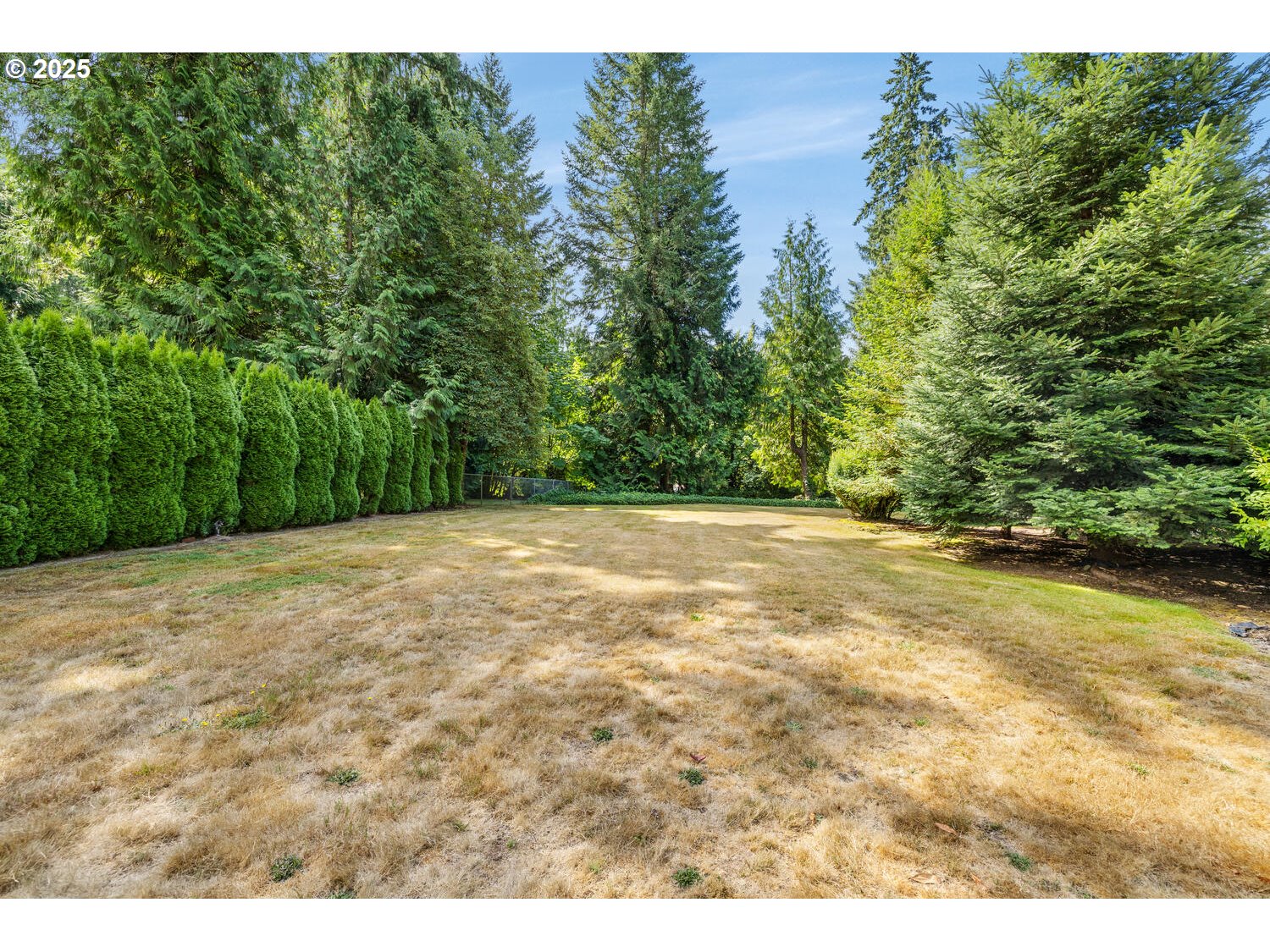 3208 Northwest 199th Street Ridgefield, WA 98642 - Photo 12 of 48 a view of an outdoor space and a yard